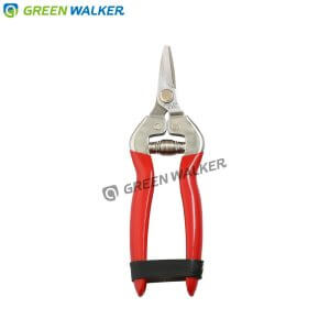 Grape scissors stainless steel blades made in Taiwan.