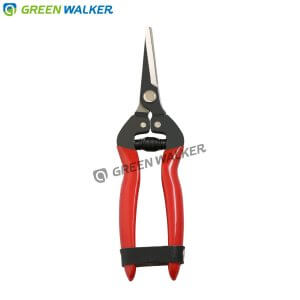 Fruit scissors, grape scissors with long straight blades.