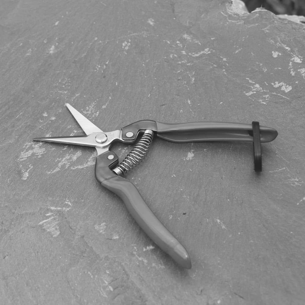 fruit pruner made in Taiwan