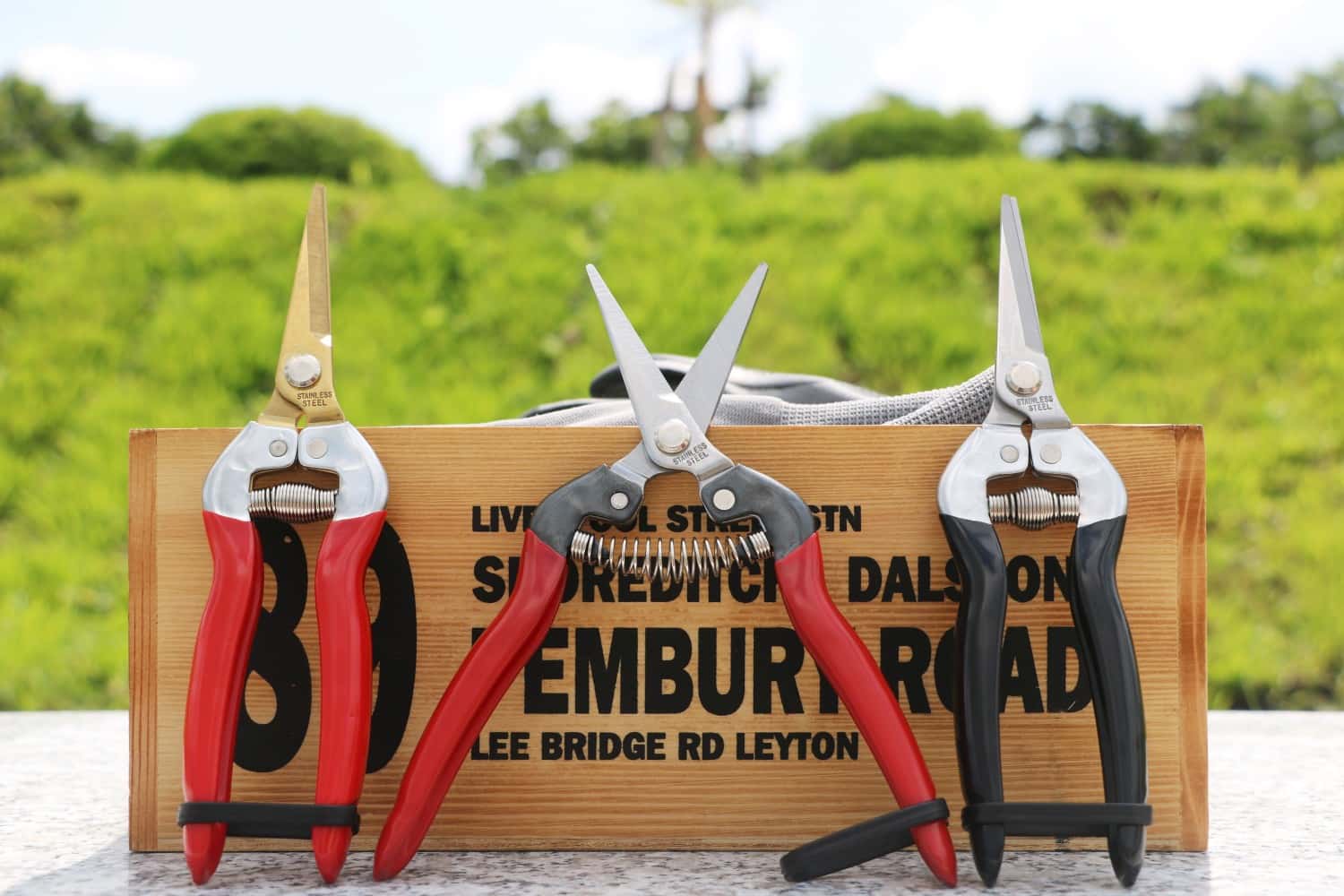 Fruit scissors with long straight stainless steel blade made in Taiwan high quality garden tools manufacturer.