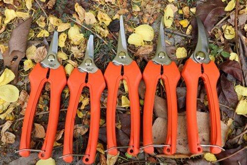 stainless steel blade fruit scissors