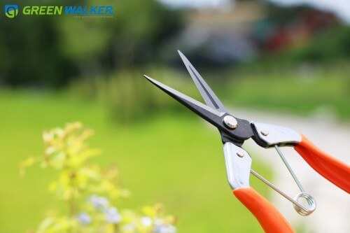 Harvesting tools beautiful in the garden.