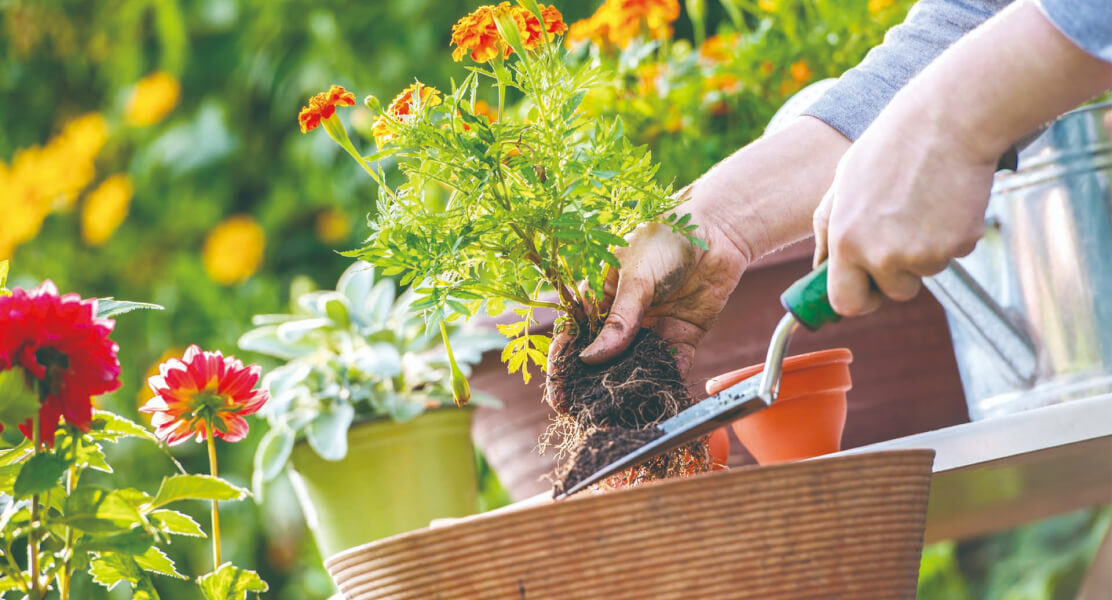 garden tools green walker
