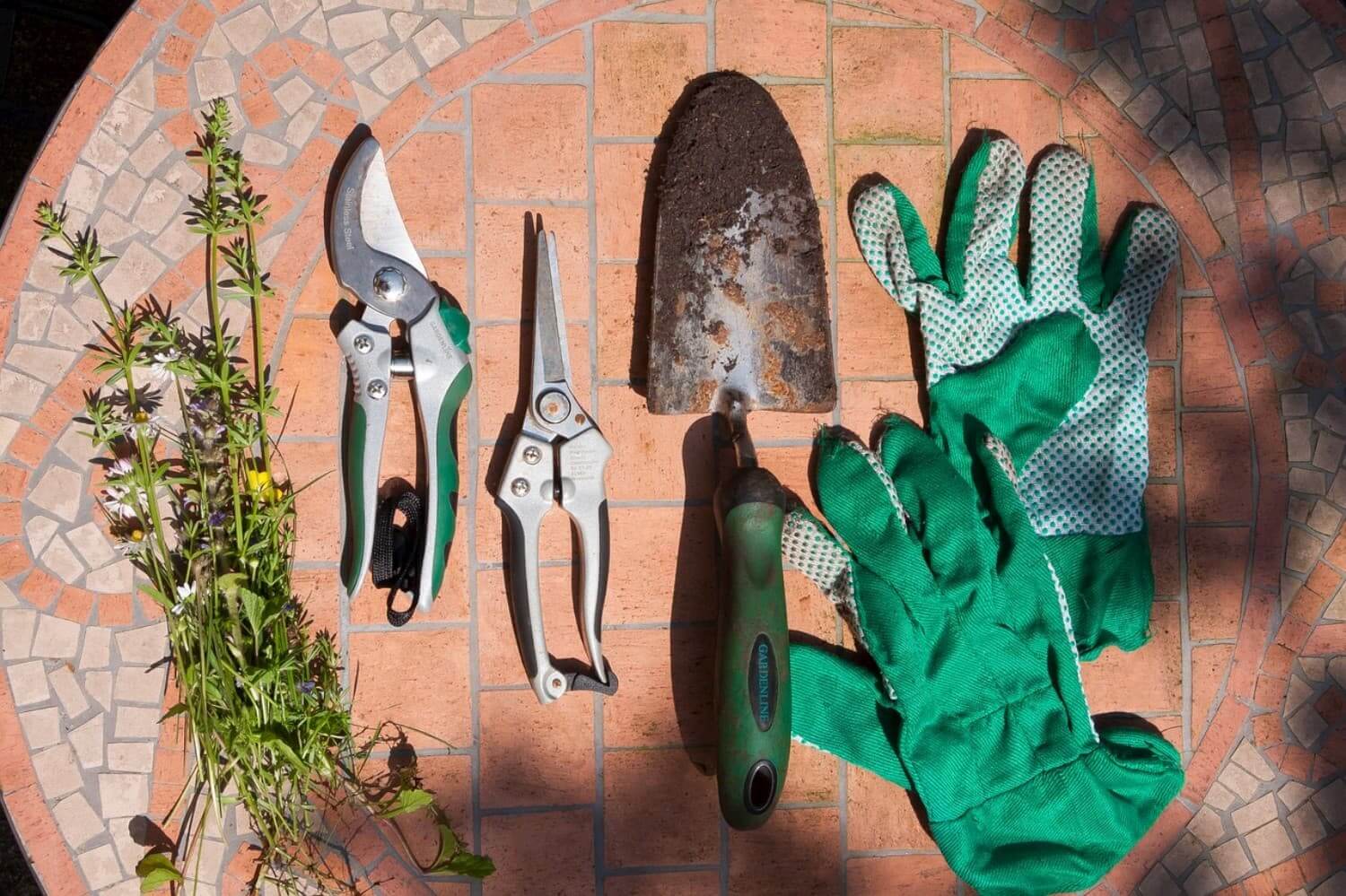 different kinds of garden tools