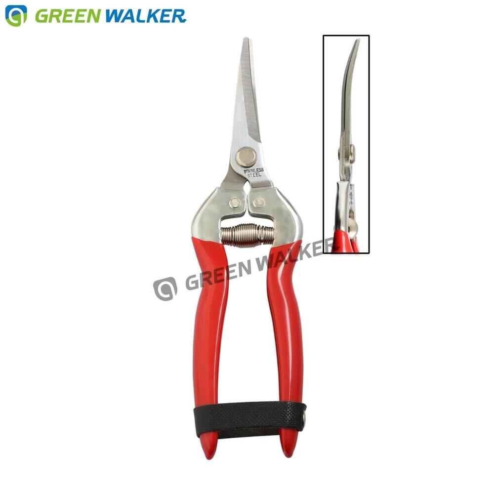 Long Curved Grape Scissors FS1620SC