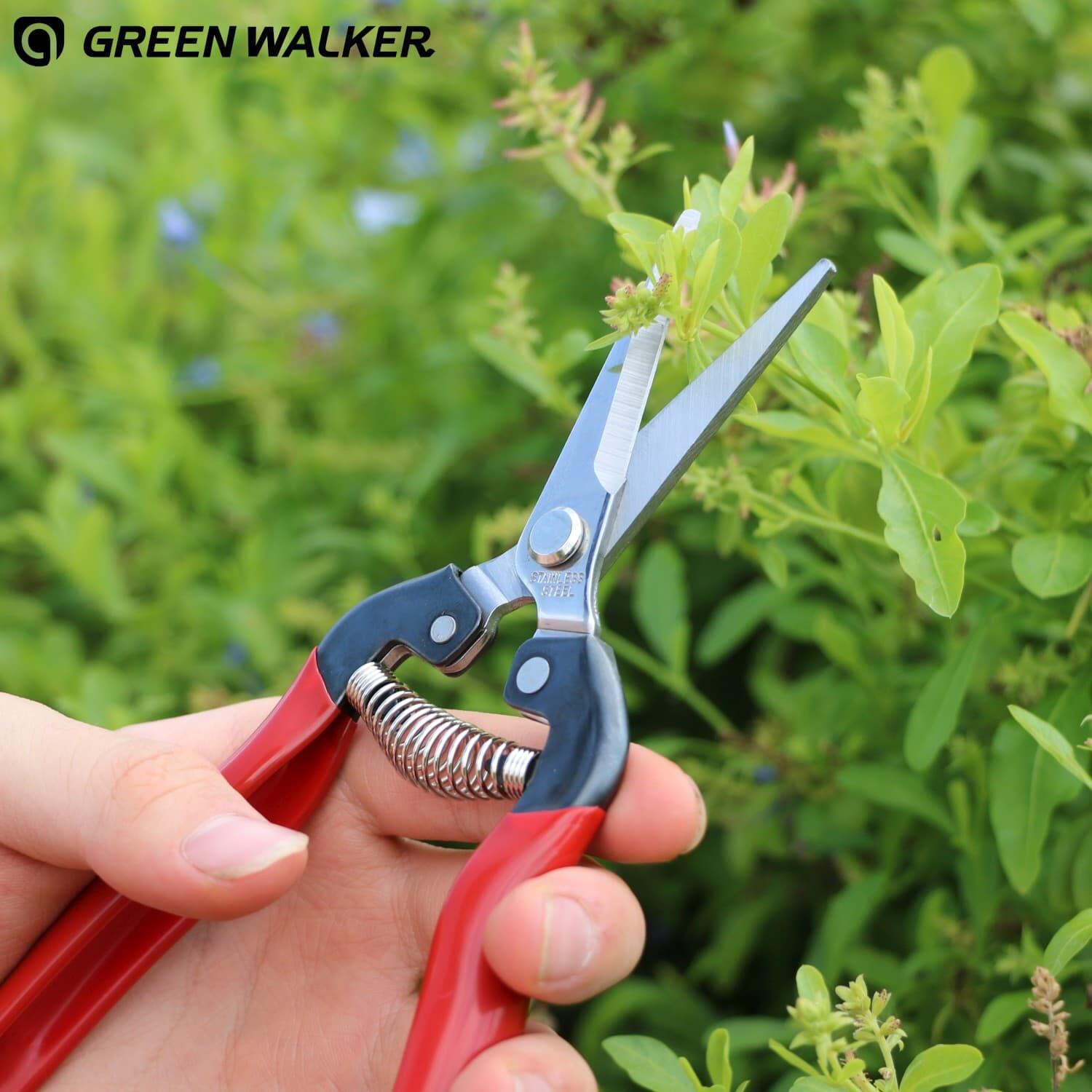 Fruit Scissors FS1620S-K