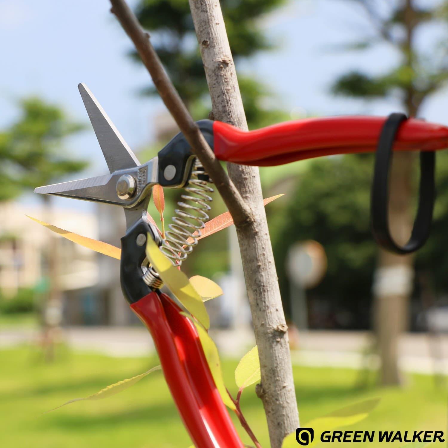 Fruit Scissors FS1620S-K